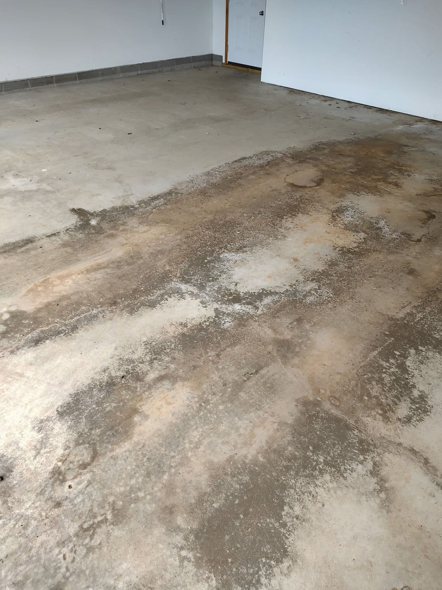 Lori's Garage Floor Gets a Coating System Built to Last image